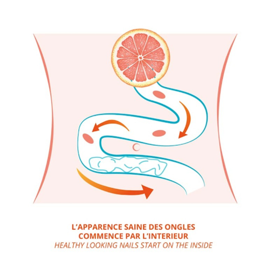 Slika produkta PODERM® Prehranski dodatek za zdrave nohte